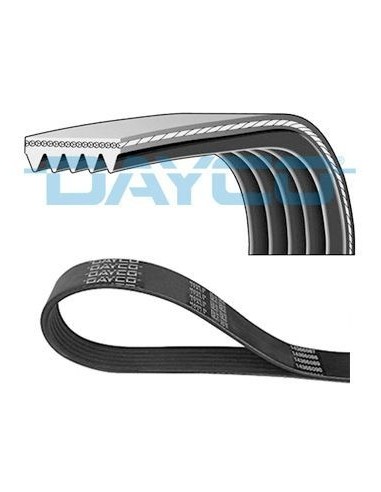 DAYCO CINGHIA POLY-V 5PK1635