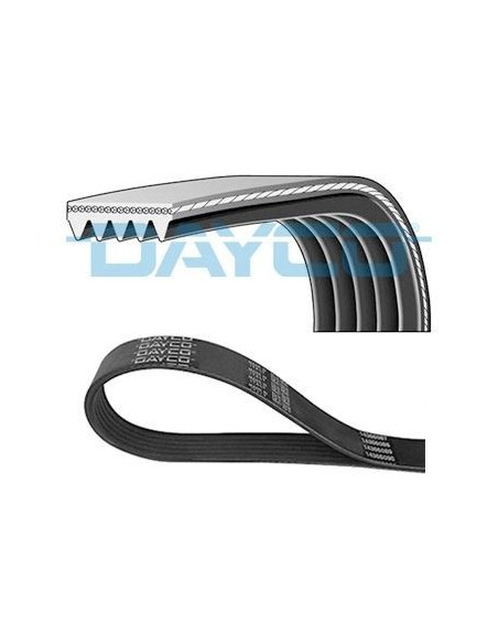 DAYCO CINGHIA POLY-V 5PK1635