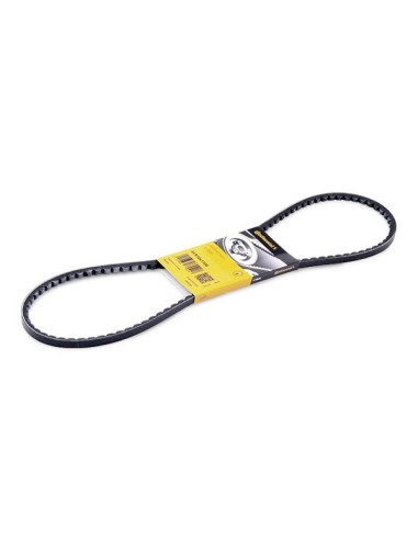 CONTINENTAL AG CINGHIA TRAPEZOIDALE AVX10X1100