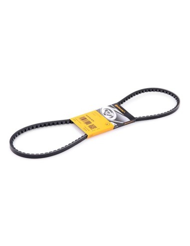 CONTINENTAL AG CINGHIA TRAPEZOIDALE AVX10X1075