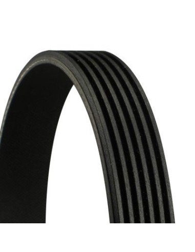 CONTINENTAL AG CINGHIA POLY-V 6PK1486