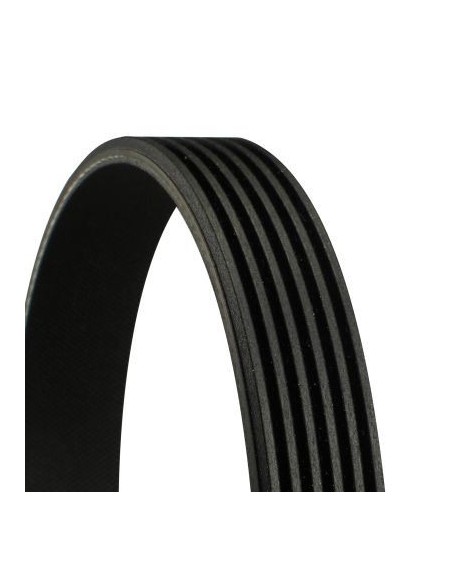 CONTINENTAL AG CINGHIA POLY-V 6PK1486