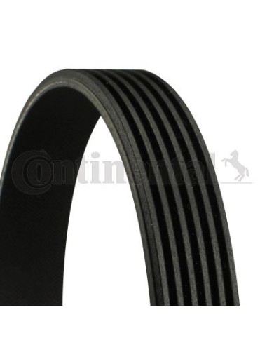 CONTINENTAL AG CINGHIA POLY-V 6PK1020EXTRA