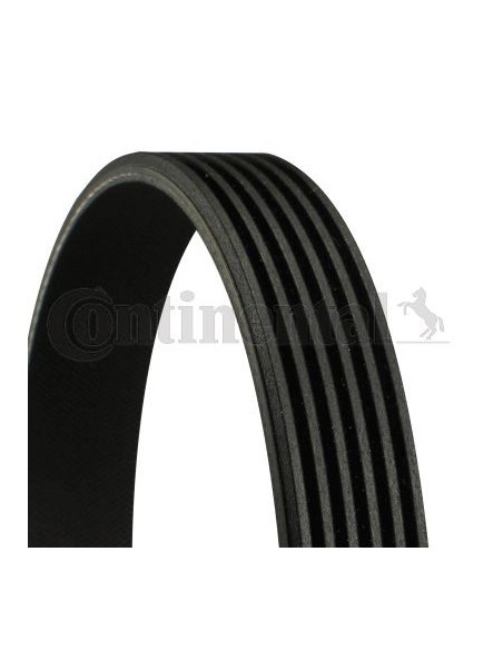 CONTINENTAL AG CINGHIA POLY-V 6PK1020EXTRA