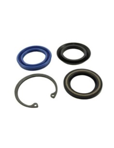 BOSCH ANELLO DI TENUTA F01M100049