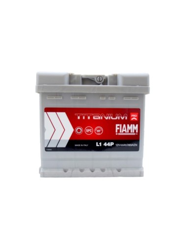 Batteria FIAMM 7905141
