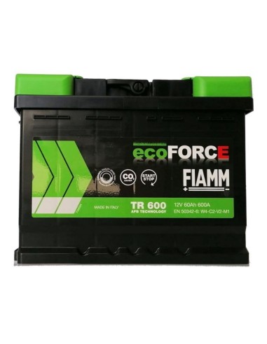 Batteria FIAMM 7906488