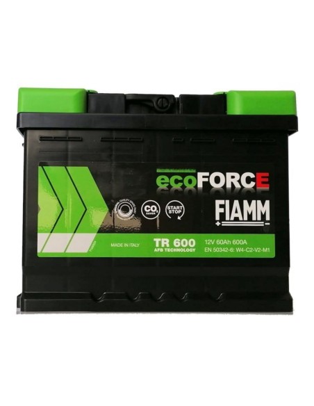 Batteria FIAMM 7906488