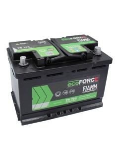 Batteria FIAMM 7907330