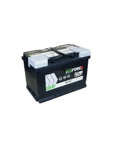 Batteria FIAMM 7906200