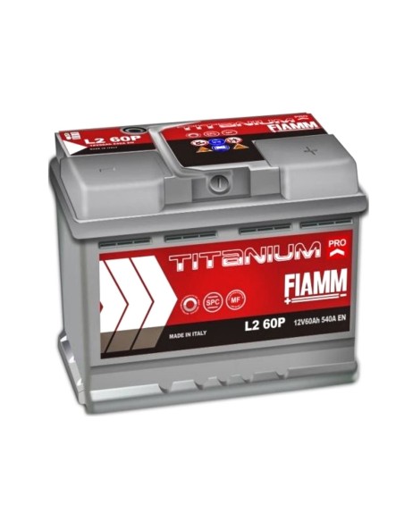 Batteria FIAMM 7905147