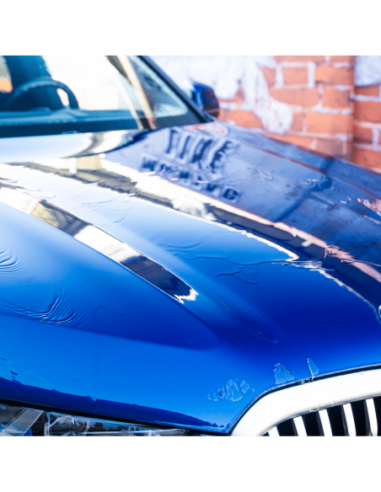 MAFRA Wet Coat - Maniac Line For Car Detailing MF122