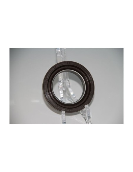 Corteco Paraolio, Albero A Gomiti 12019748B