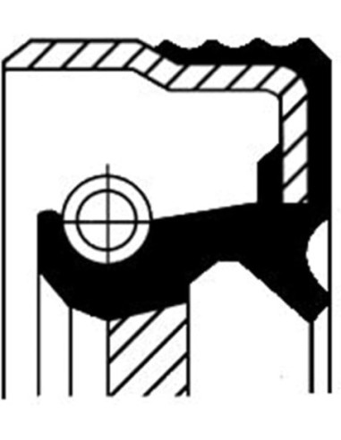 CORTECO PARAOLIO, ALBERO INTERMEDIO 12015093B