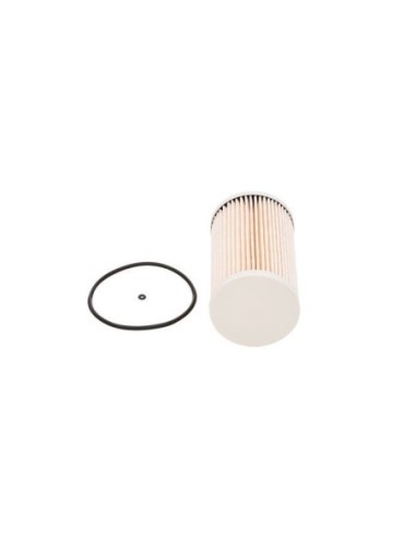 BOSCH FILTRO CARBURANTE F026402829