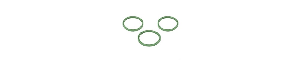 Guarnizione Gruppo Alim. auto | Ricambi alimentazione e scar