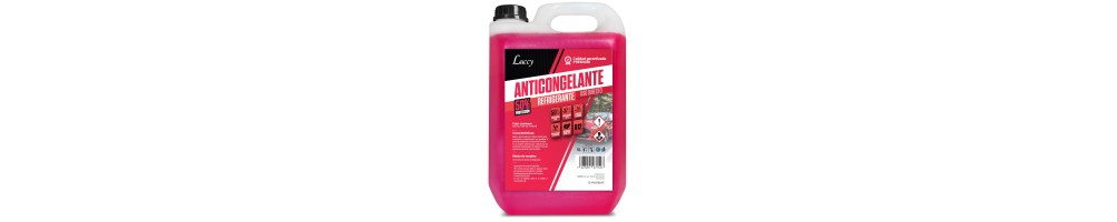 Antigelo auto | Protezione motore
