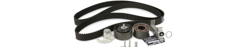 Kit Distribuzione auto | Ricambi motore e testata