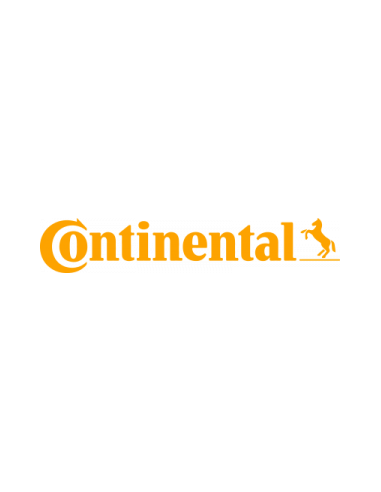 Continental AG